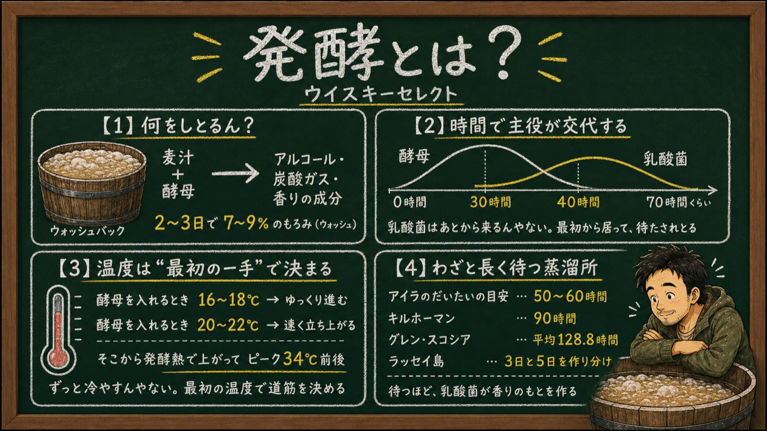 発酵とは？ ウォッシュバックで酵母が糖をアルコールに変える流れ、30時間で酵母・40時間から乳酸菌へ主役が交代する様子、発酵温度、長時間発酵の蒸溜所を黒板風にまとめた図