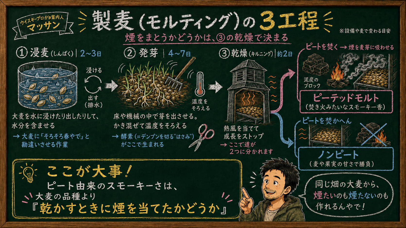 「製麦（モルティング）の3工程」の解説図：黒板チョーク風。浸麦・発芽・乾燥の流れと、乾燥でピートを焚くかどうかでピーテッドモルトとノンピートに分かれることをマッサンが解説するインフォグラフィック