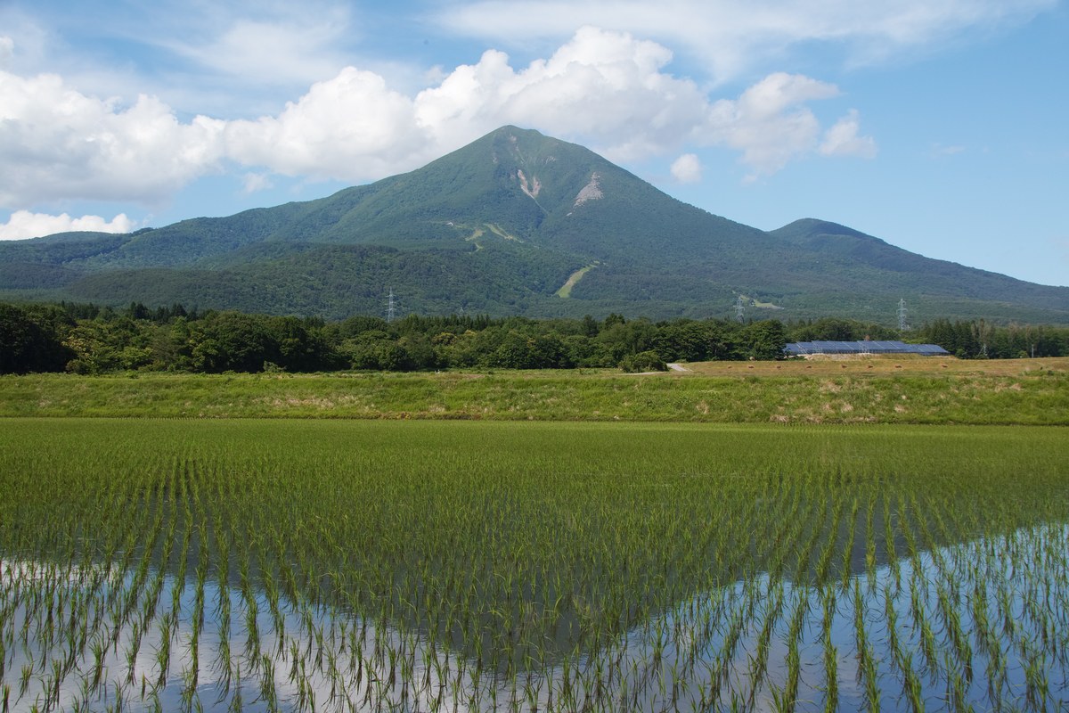 会津磐梯山と磐梯町の水田。天鏡蒸溜所があるのはこの山の西山麓